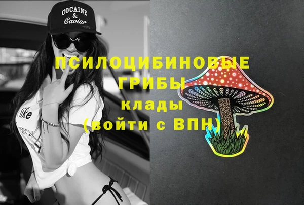 спиды Алексеевка