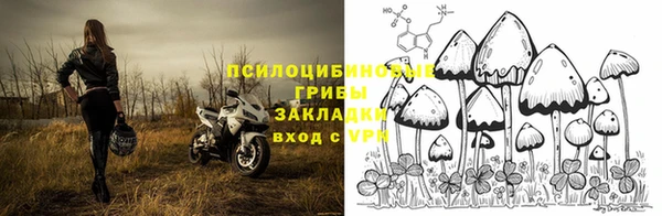 спиды Алексеевка