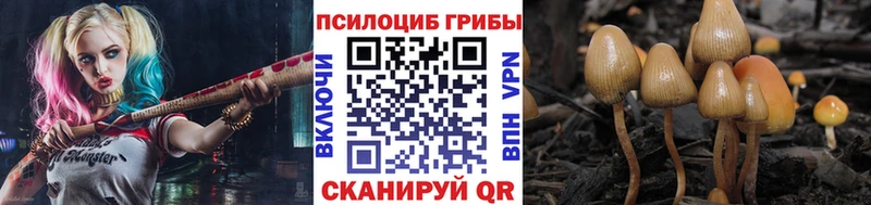 Псилоцибиновые грибы мухоморы  нарко площадка телеграм  Ялта 
